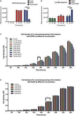 Mechanism of Growth Regulation of Yeast Involving Hydrogen Sulfide From S-Propargyl-Cysteine Catalyzed by Cystathionine-γ-Lyase